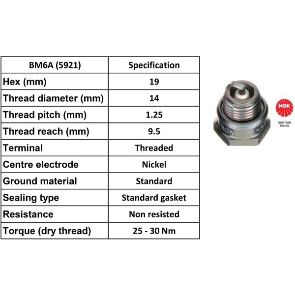 NGK NGK Spark Plug BM6A Plugs [Box 10]